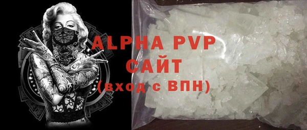 прущие грибы Абаза