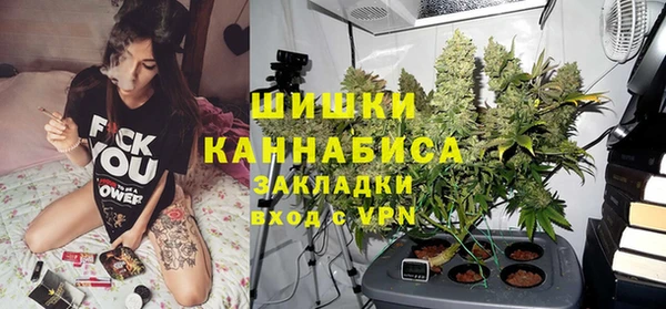 PSILOCYBIN Абдулино