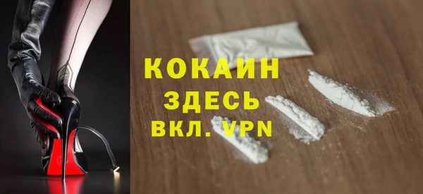 прущие грибы Абаза