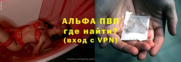 прущие грибы Абаза