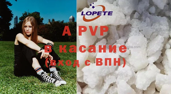 прущие грибы Абаза
