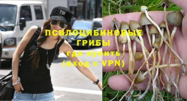 прущие грибы Абаза