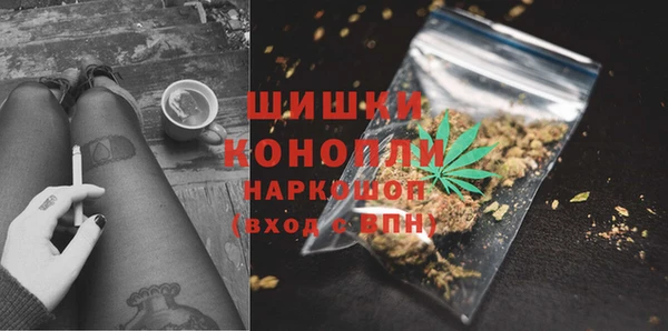прущие грибы Абаза
